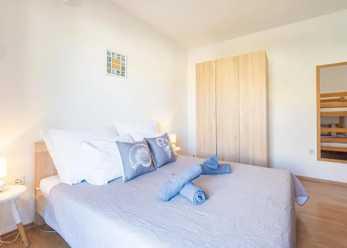 Apartment And Room Bacic