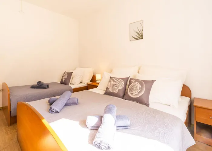 Apartment And Room Bacic