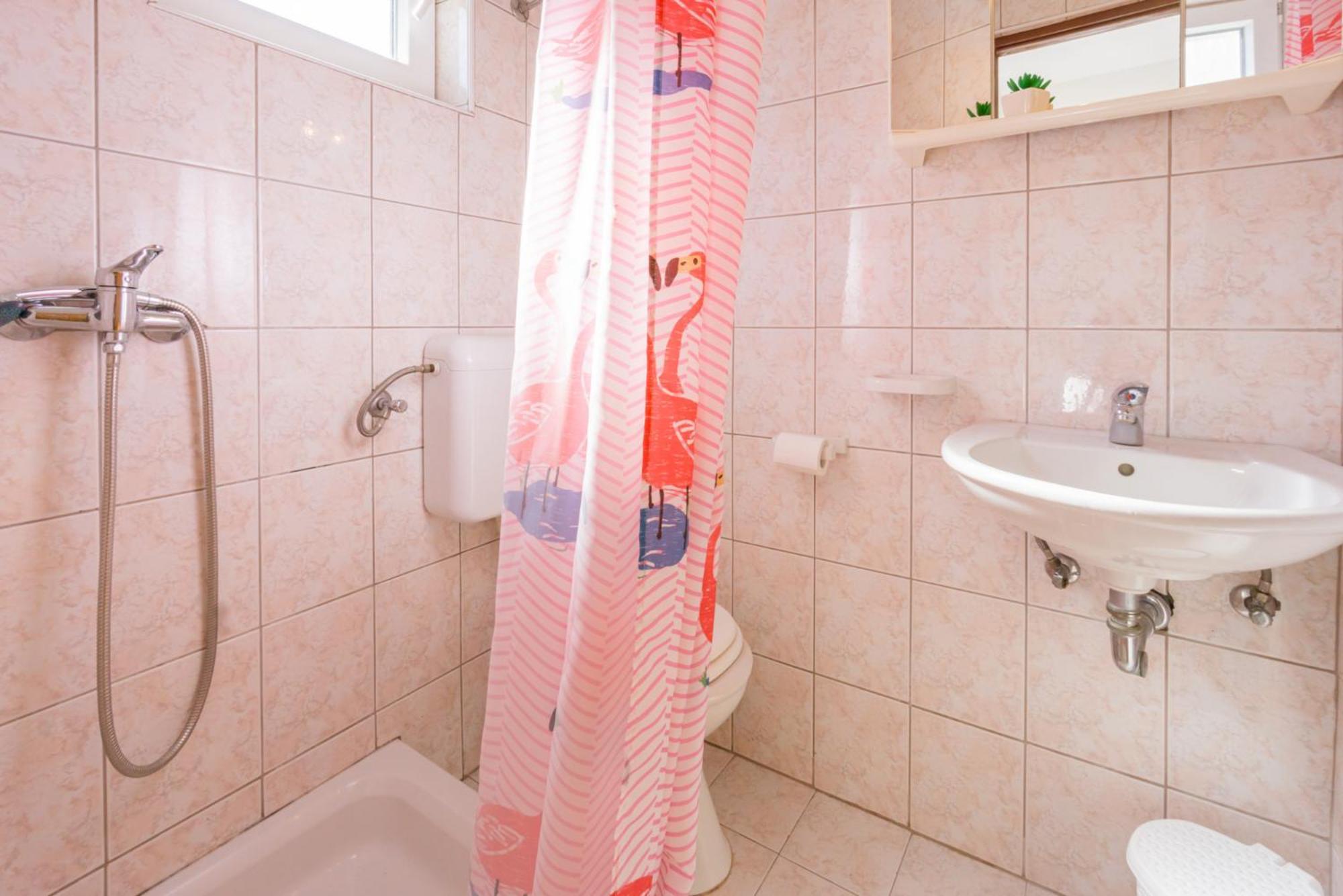 And Bacic Apartment